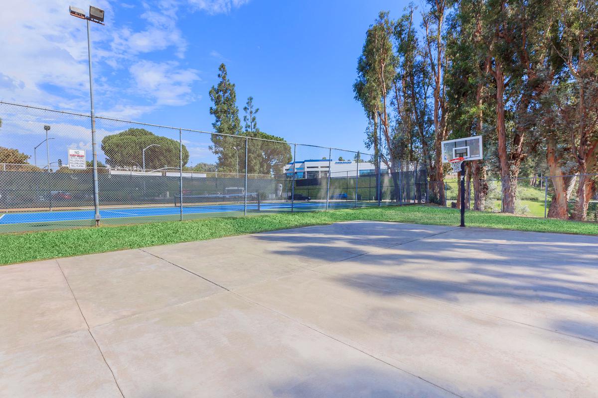 Saddleback Ranch Image 12