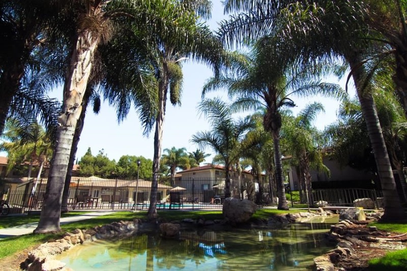 Monterra Springs Image 3
