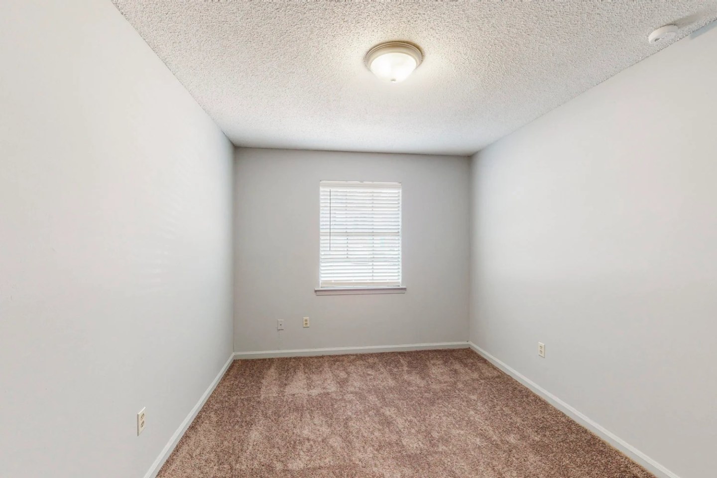 Luxe at Raleigh Apartments Image 16
