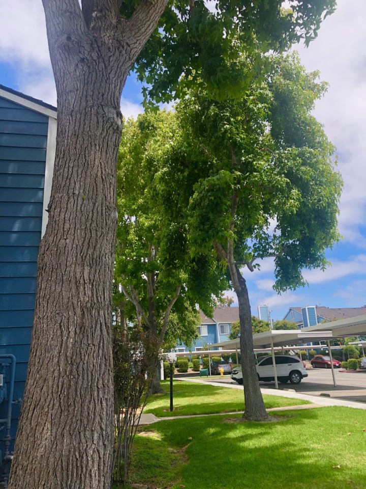 Mariner Village Image 2