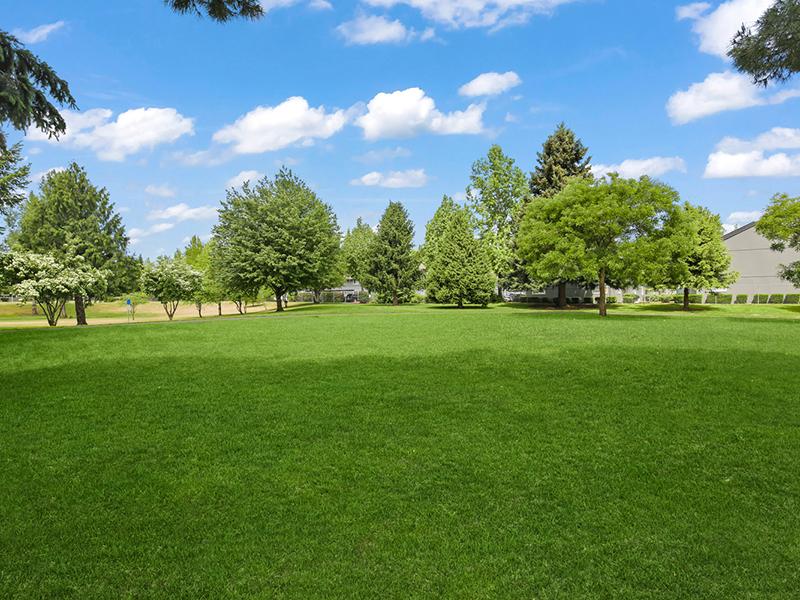 Andresen Park Image 24