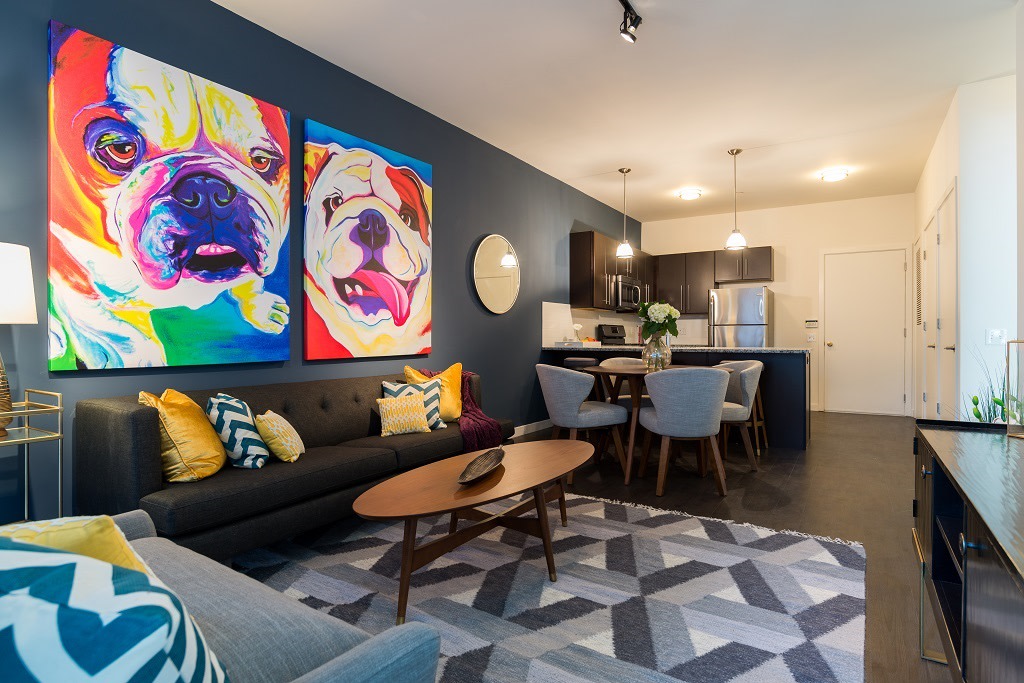 Apartments and Houses for Rent Near Me in New Haven