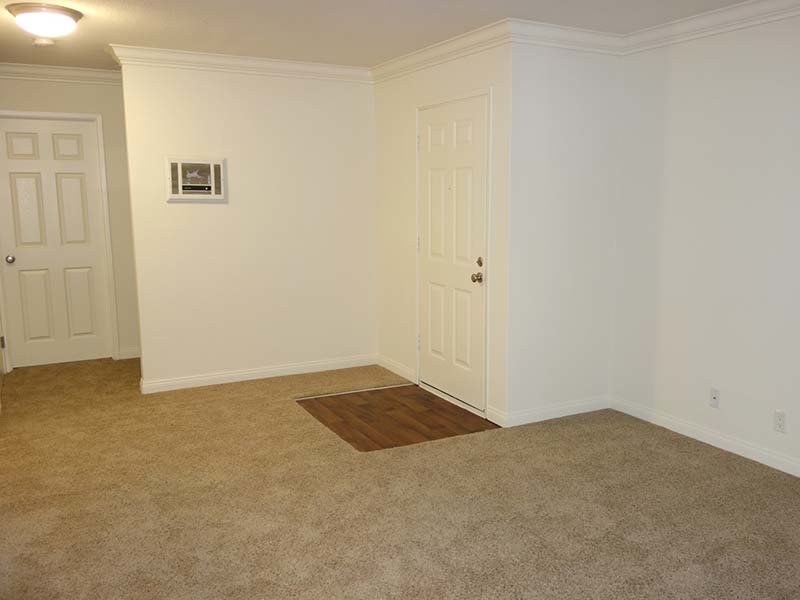 Elan Seacrest Image 7