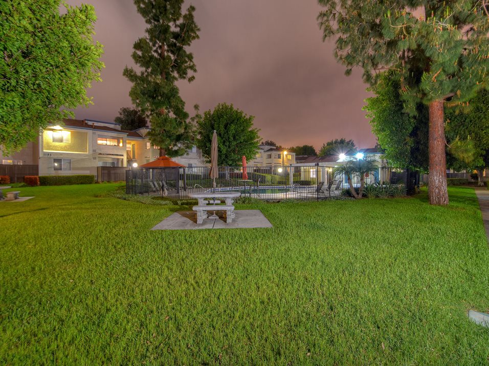 Windwood Image 19