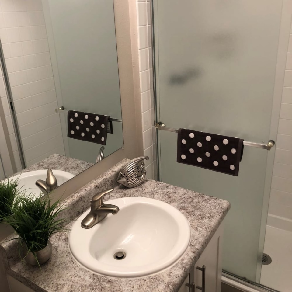 Forest Cove Apartments Image 11