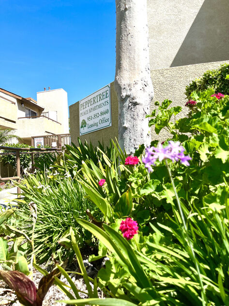 Peppertree Image 15