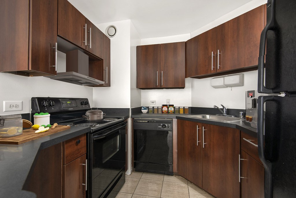 1111 N. Dearborn Image 21