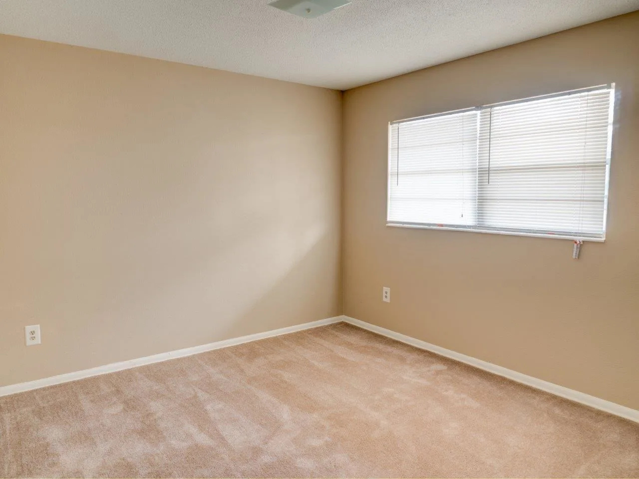 Hibiscus Place Image 7