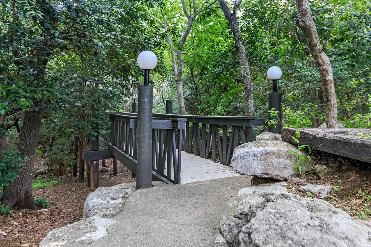 Avistar at Wood Hollow Image 42