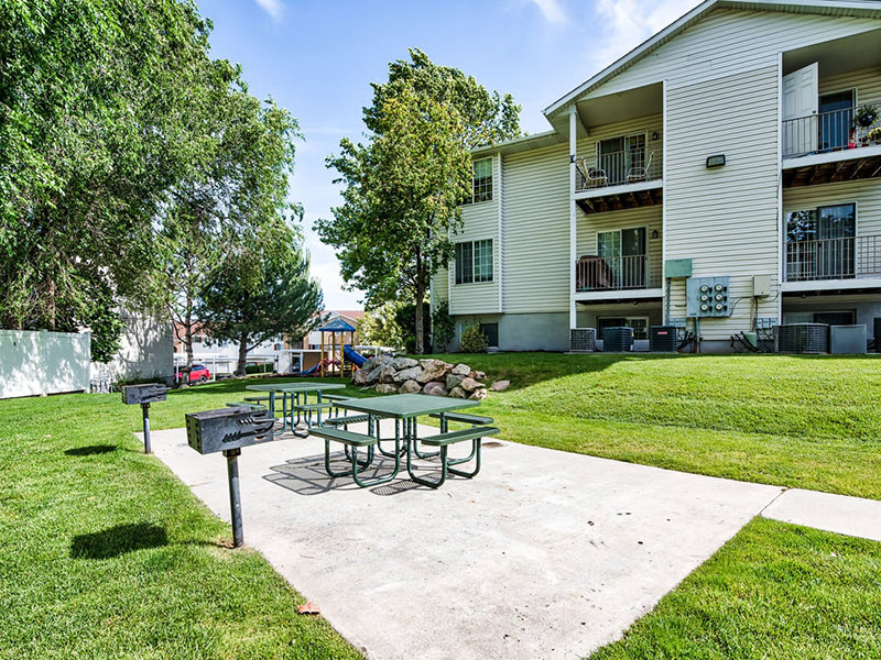 Cherry Lane Image 8