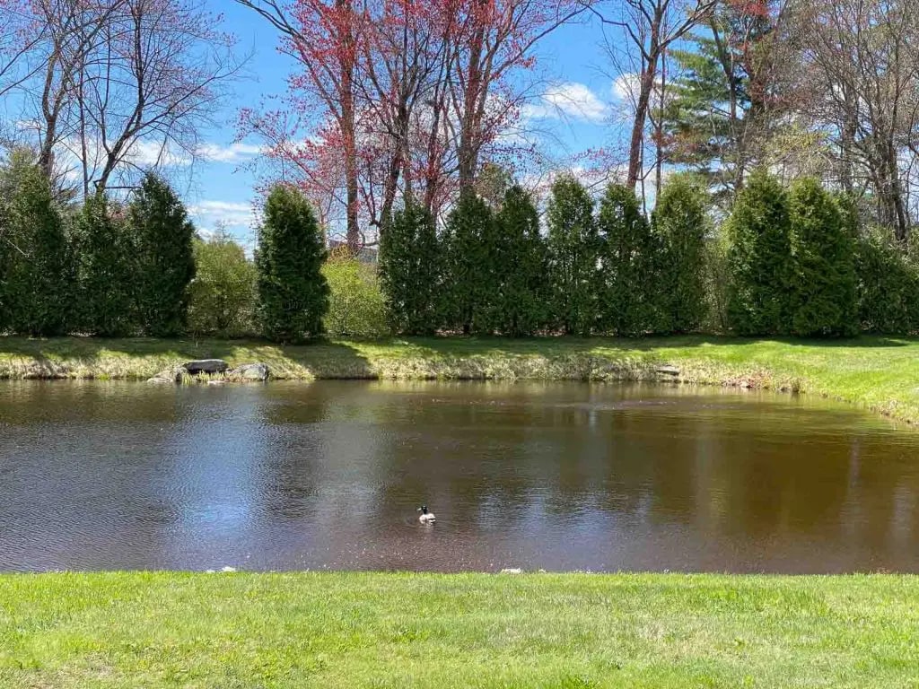 Park View Hills Condominium Image 11