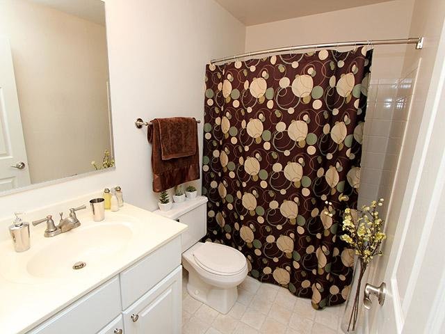 Camden at Bloomingdale Image 7
