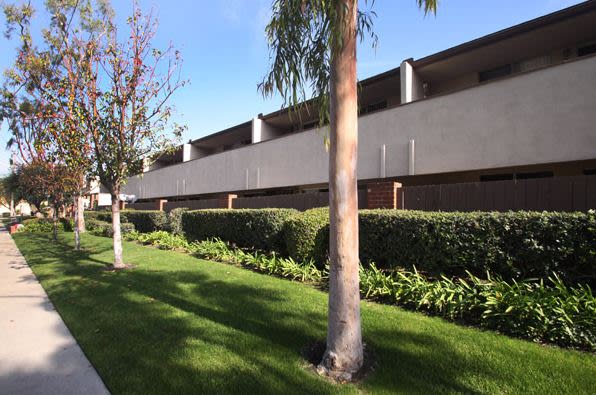 Colony Frontera Apartments Image 19