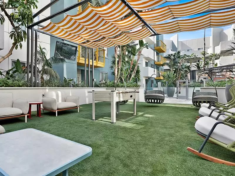The Oasis Image 4
