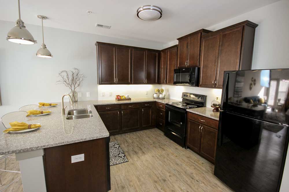 The Vue Luxury Apartments Image 5