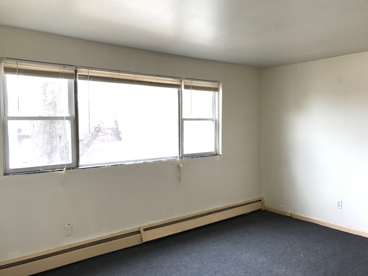 Morris Park Apartments Image 18