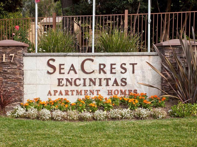 Elan Seacrest Image 16