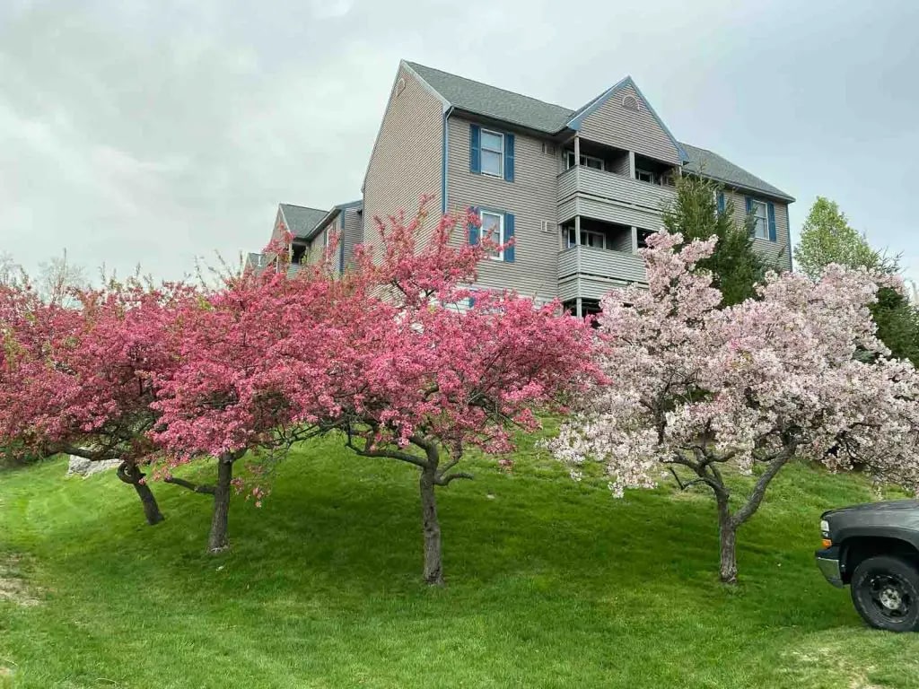 Sunset Ridge Apartments Image 7