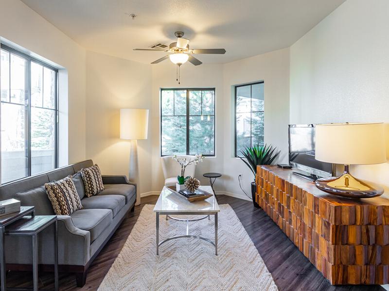 Elevation Luxury Apartments Image 16