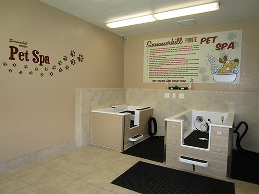 Summerhill Pointe Apartments Image 6