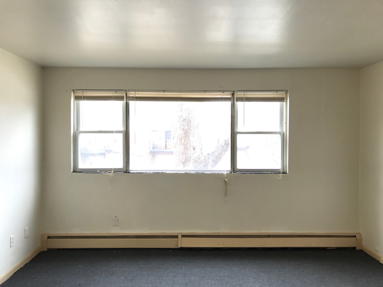 Morris Park Apartments Image 17