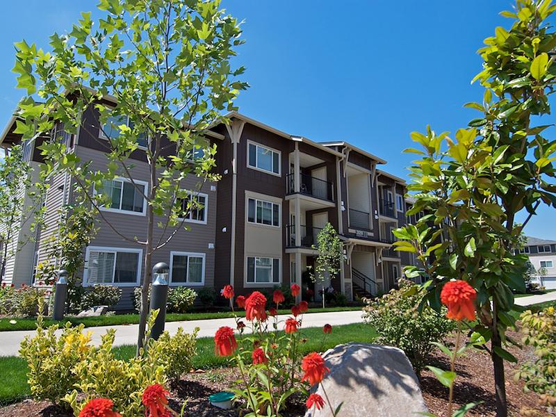Baseline Woods Image 1