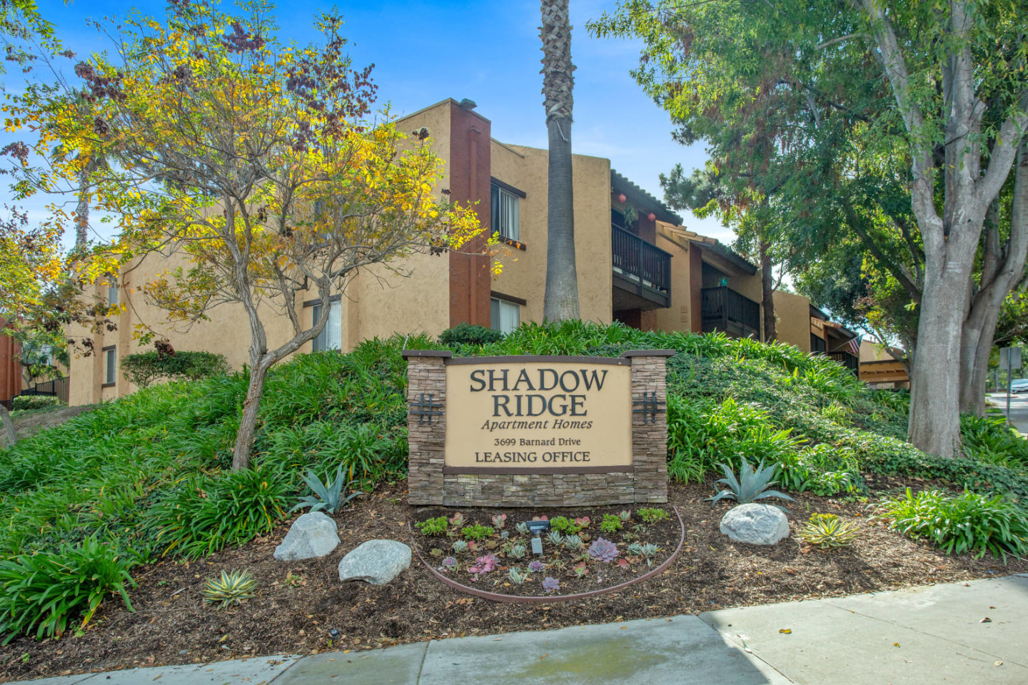 Shadow Ridge Image 20
