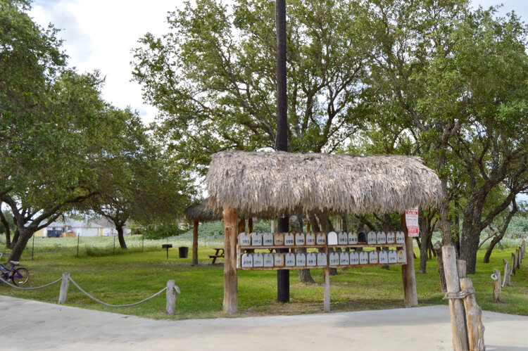 Oasis Image 15