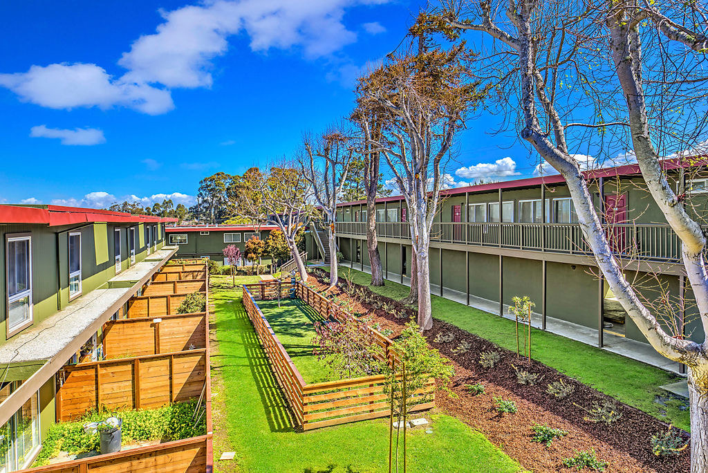 Pacific Pines Image 6