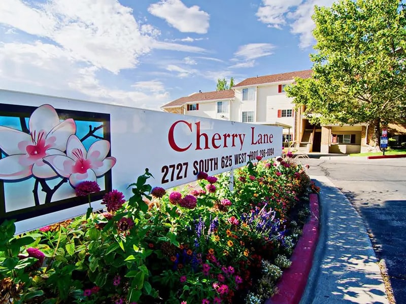 Cherry Lane Image 33