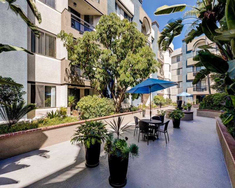 Palm Court Apartments Image 32