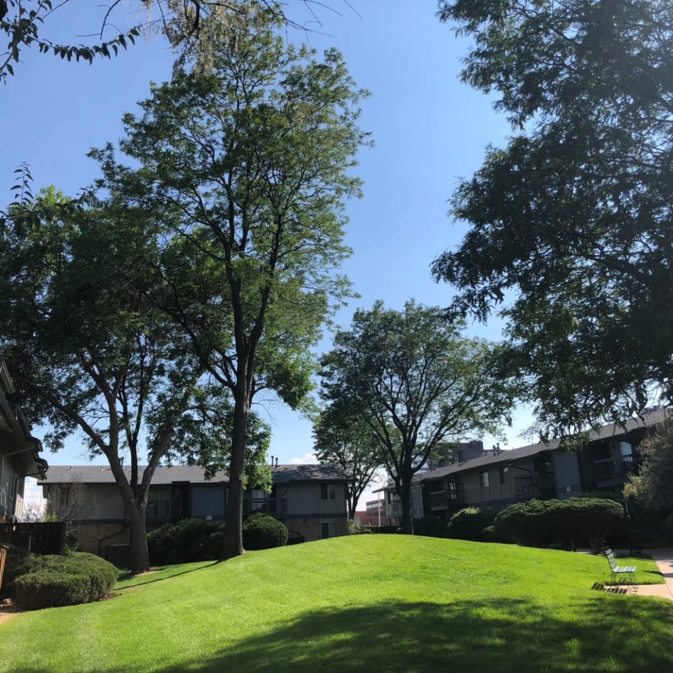 Forest Cove Apartments Image 12
