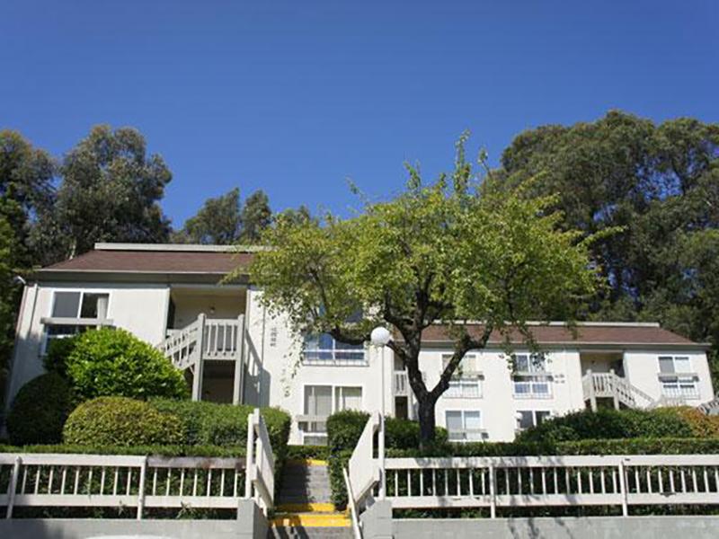 Park Hill Image 15