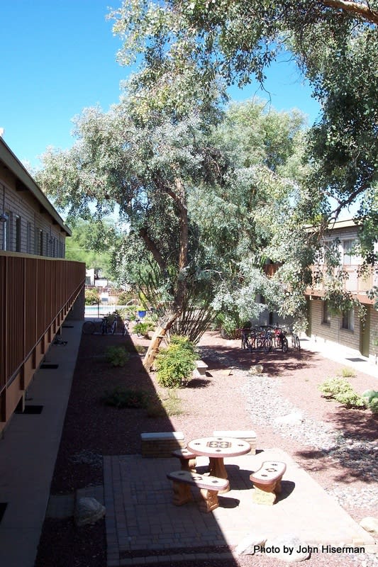 Mountain Plaza Image 23
