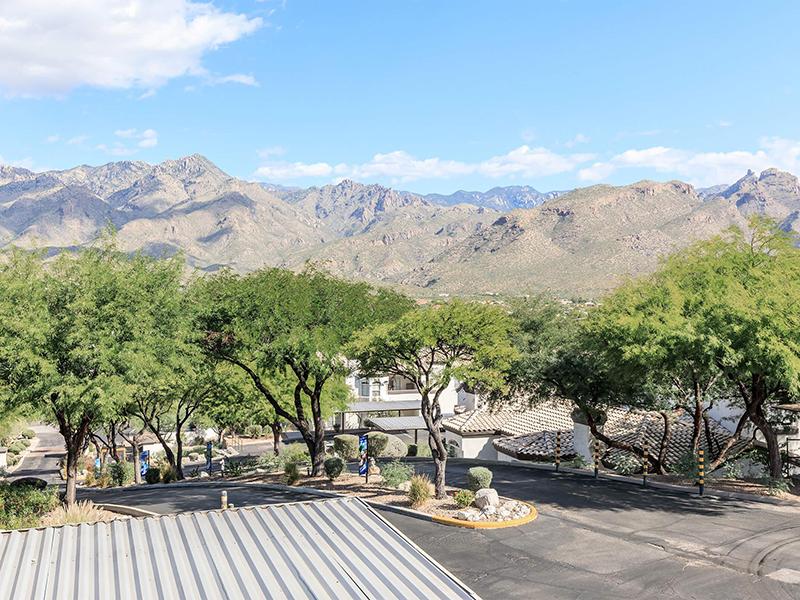 Pinnacle Heights Image 25