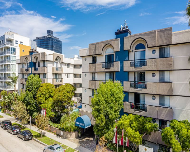 Palm Court Apartments Image 3