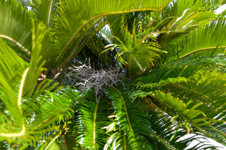 Oasis Image 10