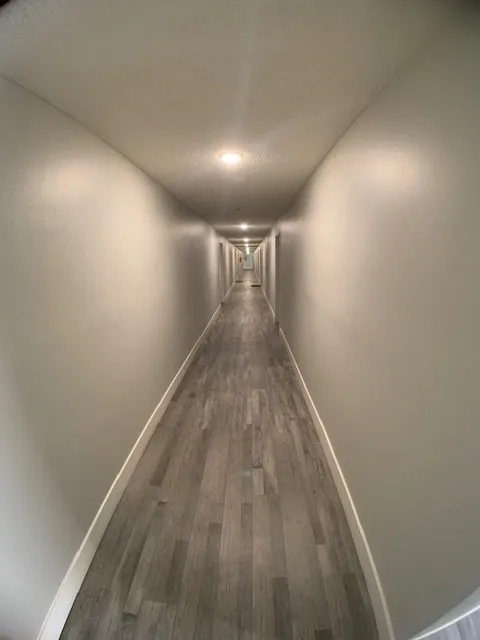 Roscoe Street Image 19
