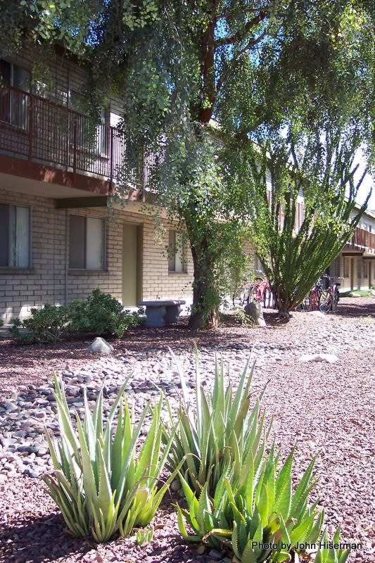 Mountain Plaza Image 30
