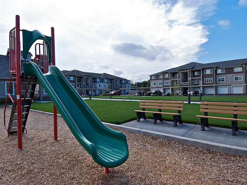 Baseline Woods Image 42