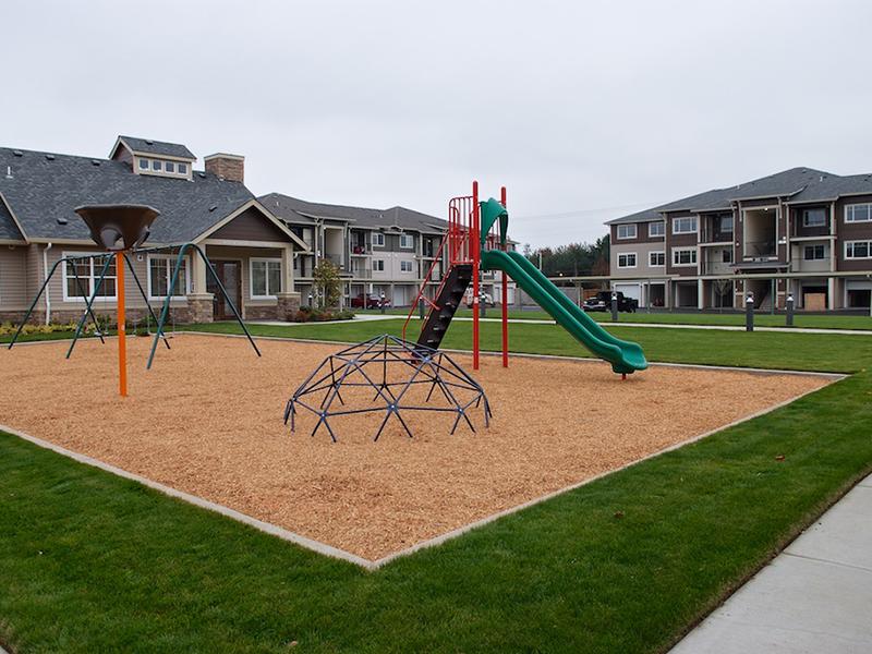 Baseline Woods Image 43