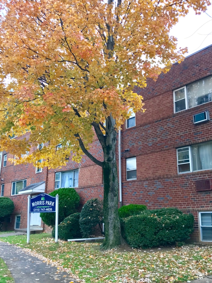 Morris Park Apartments Image 21