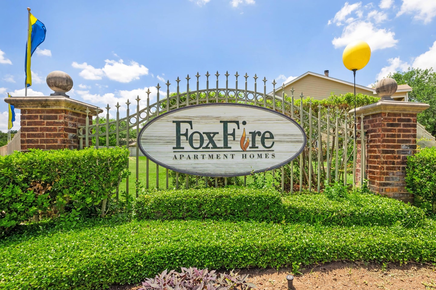 Foxfire Image 12
