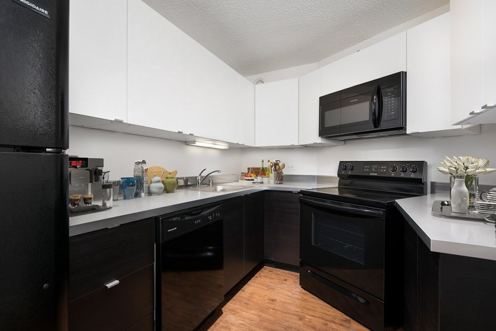 1120 North Lasalle Image 3