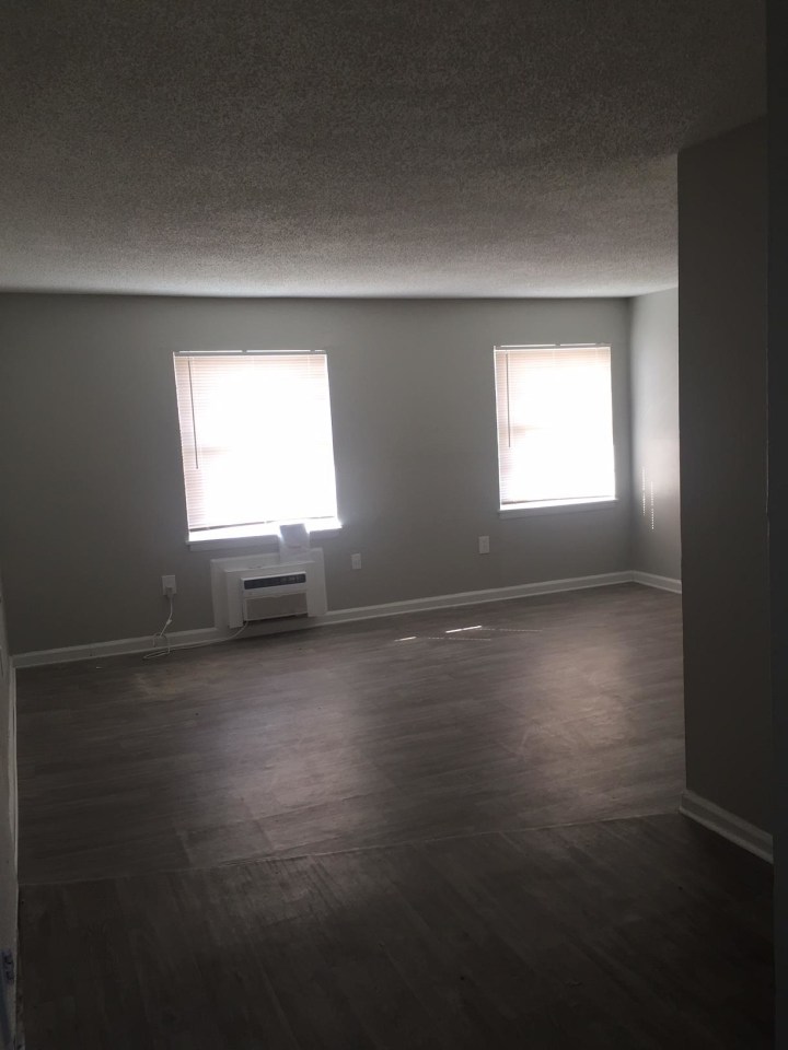 Lanier Terrace Apartments Image 22