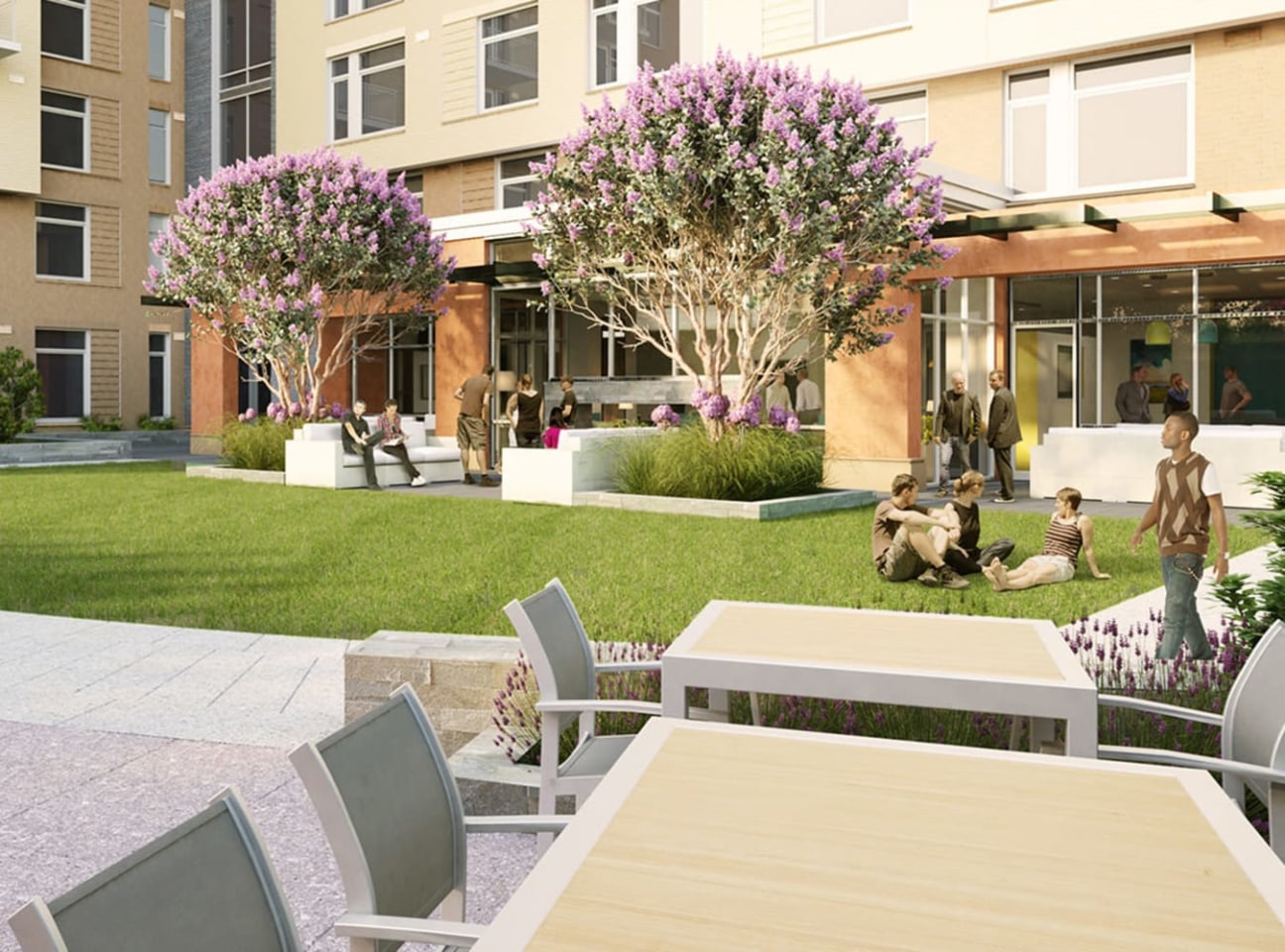 Solaire 8250 Georgia Image 5