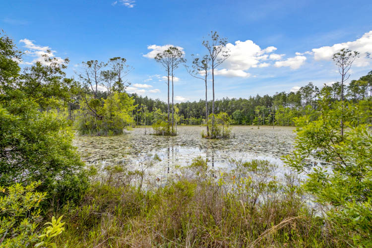 Exchange at Wildlight Image 17
