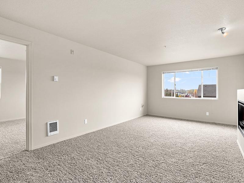 Baseline Woods Image 17