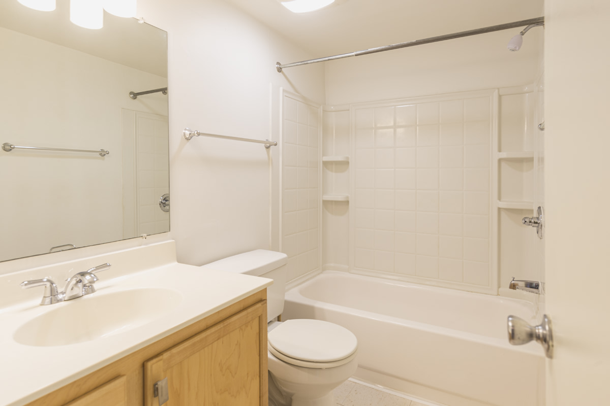 Ash Tree - Student Housing Image 4