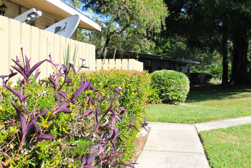 Summerwind Apartments Image 9